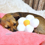Custom Fluffy Comfort Calming Strawberry Pet Bed Mattress