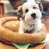 Best Selling Cute Brown Simulated Hamburger Pet Bed Design