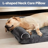 Custom Plush Orthopedic Memory Foam Pet Sofa Bed With Two Pillows