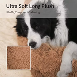 Four Sides Pillow Plush Orthopedic Memory Foam Dog Bed