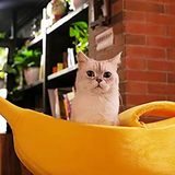 Comfortable Deep Sleep Yellow Plush Banana Cat Cave Bed