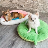 Green Plush Leaf Shape Pet Bed Cute Comfortable Pet Mattress