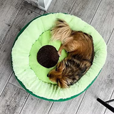 Wholesale Custom Green Plush Avocado Shape Pet Mat Bed