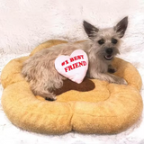 Customized Fancy Cute Brown Plush Dog Paw Shape Pet Mat