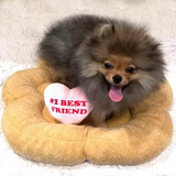 Customized Fancy Cute Brown Plush Dog Paw Shape Pet Mat