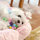 Round Plush Pink Flower Pet Mat Bed With Pillow For Small Medium Pet