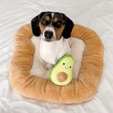 New Modern Portable Yellow Plush Toast Shape Pet Cat Nest Bed
