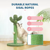 Green Cactus Cat Tree House Indoor Climbing Frame