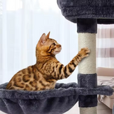 Custom High Quality Dark Grey Plush Multi-level Personalized Cat Scratching Tree Tower
