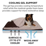 Custom Eco Friendly Plush Dog Sofa Beds With Blanket