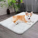 New Arrival Grey Plush Washable Cover Mat Pet Dog Bed