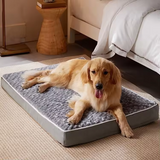 Luxury Fashion Short Plush Orthopedic Memory Foam Portable One Pillow Pet Bed