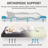 Manufacturer Grey Rose Velvet Removable Washable Cover Deluxe Orthopedic Pet Bed