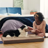 Custom Brown Orthopedic Memory Foam Pet Sofa Bed