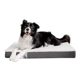 Custom Plush Orthopedic Memory Foam Bolster Couch Dog Bed