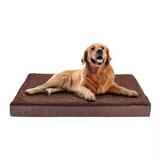 Custom Plush Orthopedic Memory Foam Bolster Couch Dog Bed
