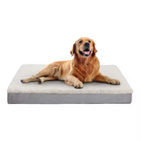 Custom Plush Orthopedic Memory Foam Bolster Couch Dog Bed