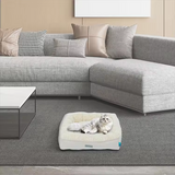 Custom Luxury Premium High Quality Linen Plush Square Dog Sofa Bed