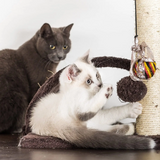 Luxury Multi-level Simple Cat Activity Brown Tree Tower