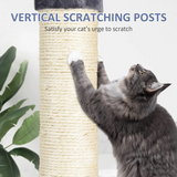 Frame Scratching Post Tower Black Cat Climbing Tree