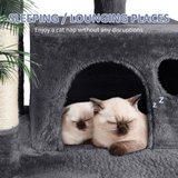 Frame Scratching Post Tower Black Cat Climbing Tree