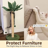 Modern Wooden Climbing Frame Cat Real Tree With Leaves