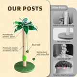 Modern Wooden Climbing Frame Cat Real Tree With Leaves