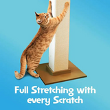 Custom Little Cat Scratching Tree Scratcher Sisal Pet House Cat Tree Tower