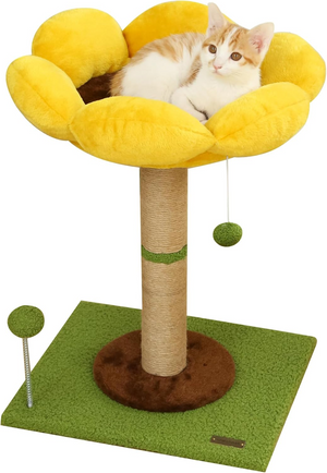 Cat Scratching Post for Small Cats Kittens Sun Flower