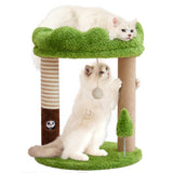 WOOCHPET Small Cat Tree with Perch Cat Bed and Removable Cover 23 inch Tall Cat Tower with 2 Scratching Sisal Scratching Posts and Cat Toys for Kittens and Adult Cats（Green）