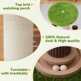 Woochpet 34inches Tall Cat Scratching Post with Cat Ball Track Toy Heavy Duty and Thicker Large Diameter Natural Sisal Cat Scratcher Post for Indoor Cats Protect Your Furniture