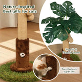 Woochpet Cat Scratching Post for Indoor Cats and Kitten - 24.8" Tall Cat Scratching Post with Sisal Rope,Palm Tree Cat Scratch Post with Hanging Ball, Small Brown