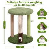 WOOCHPET Cat Tree Tower with 3 Scratcher Posts 17inch Tall Cat Tree Sisal Scratching Posts with Fun Cat Toys for Kitty and Adult Cats Small Cat Tower and Perch Bed for Indoor Cats (Green)