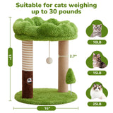 WOOCHPET Small Cat Tree with Perch Cat Bed and Removable Cover 23 inch Tall Cat Tower with 2 Scratching Sisal Scratching Posts and Cat Toys for Kittens and Adult Cats（Green）