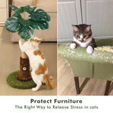 Woochpet Cat Scratching Post for Indoor Cats and Kitten - 24.8" Tall Cat Scratching Post with Sisal Rope,Palm Tree Cat Scratch Post with Hanging Ball, Small Brown